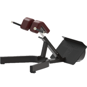 Body Force TB45